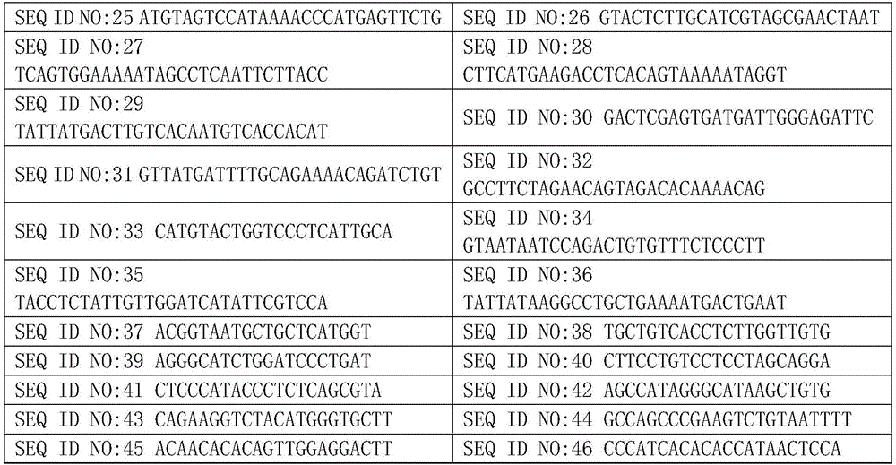 Point mutation detection method and device based on amplicon next-generation sequencing