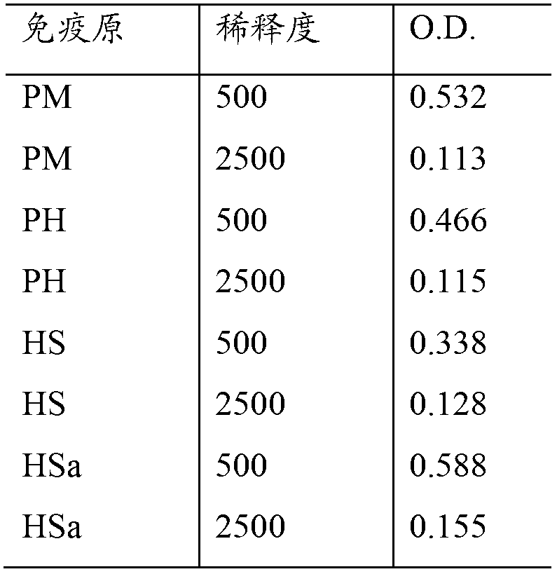 Immunogen adherence and method of making and using same