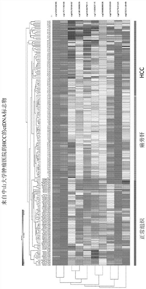DNA methylation markers for noninvasive detection of cancer and uses thereof