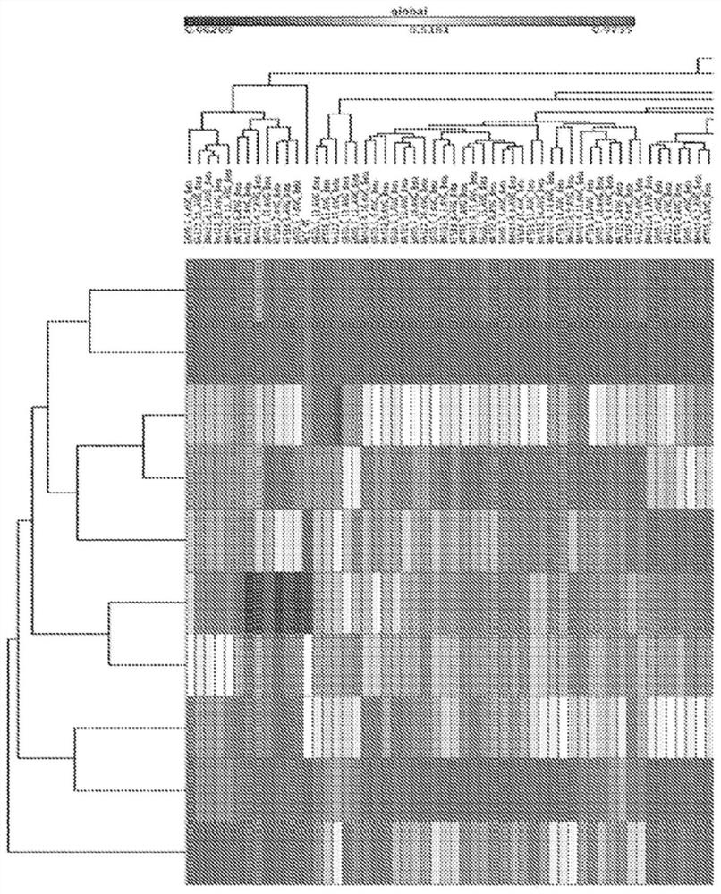 DNA methylation markers for noninvasive detection of cancer and uses thereof