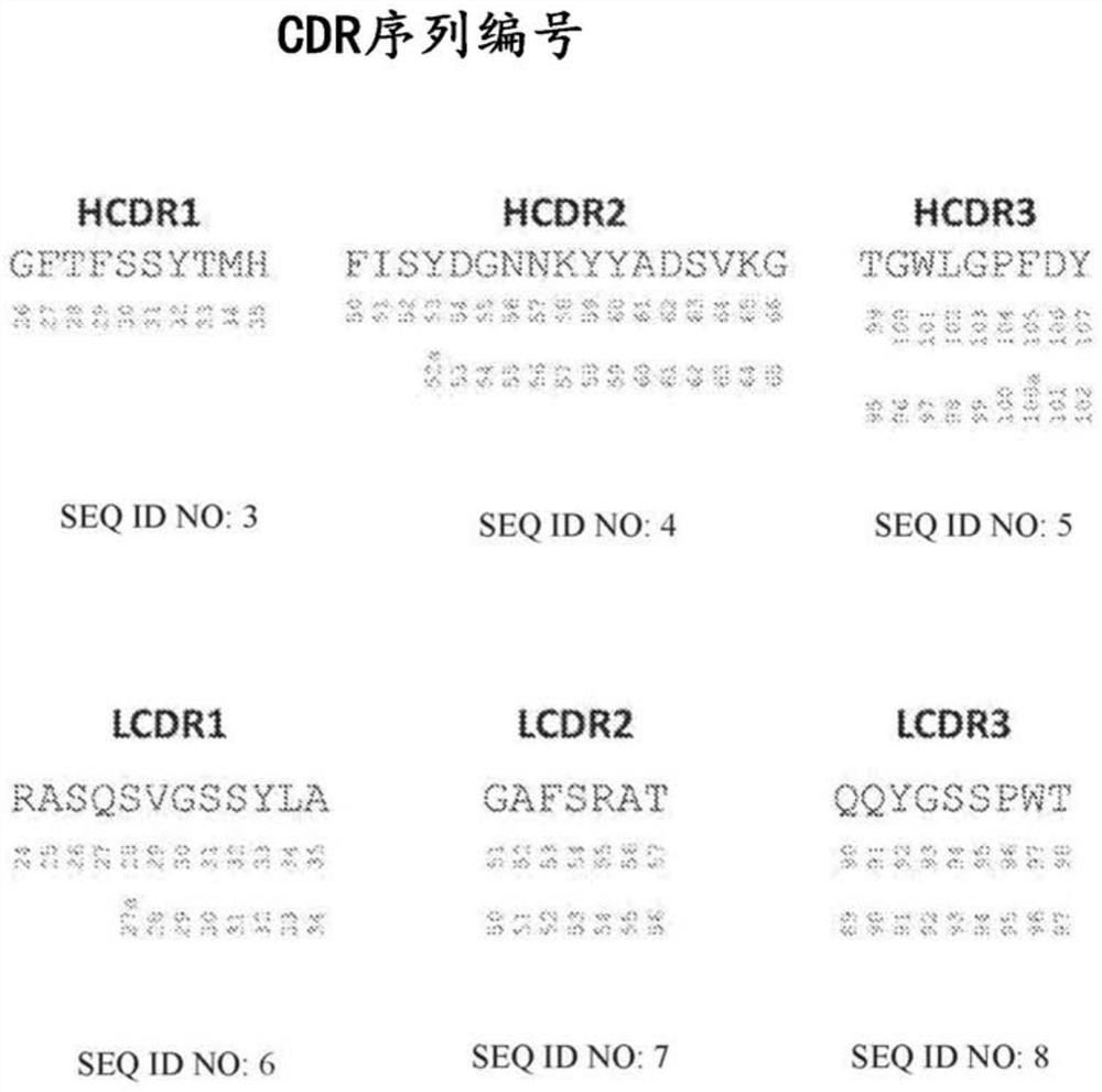 Ipilimumab variants with enhanced specificity for binding at low ph