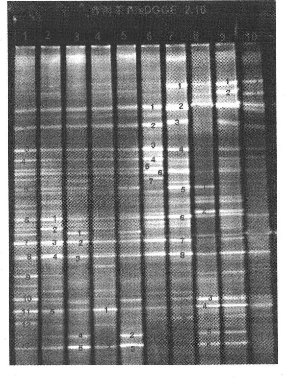 Dominant fungi in microbial community of puer tea and spectrum thereof