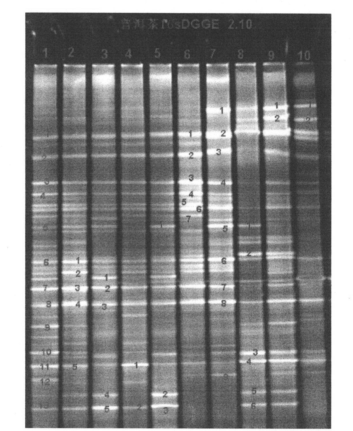 Dominant fungi in microbial community of puer tea and spectrum thereof