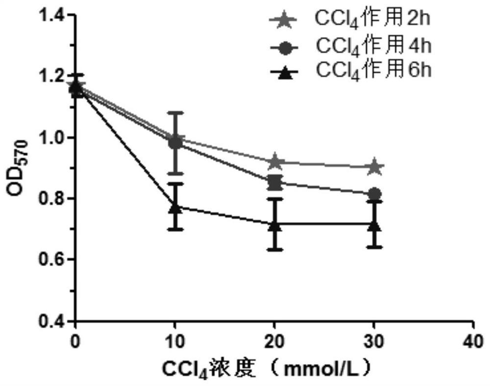 Extracellular metabolites of highly active Lactobacillus plantarum tomato juice medium and its preparation method and application