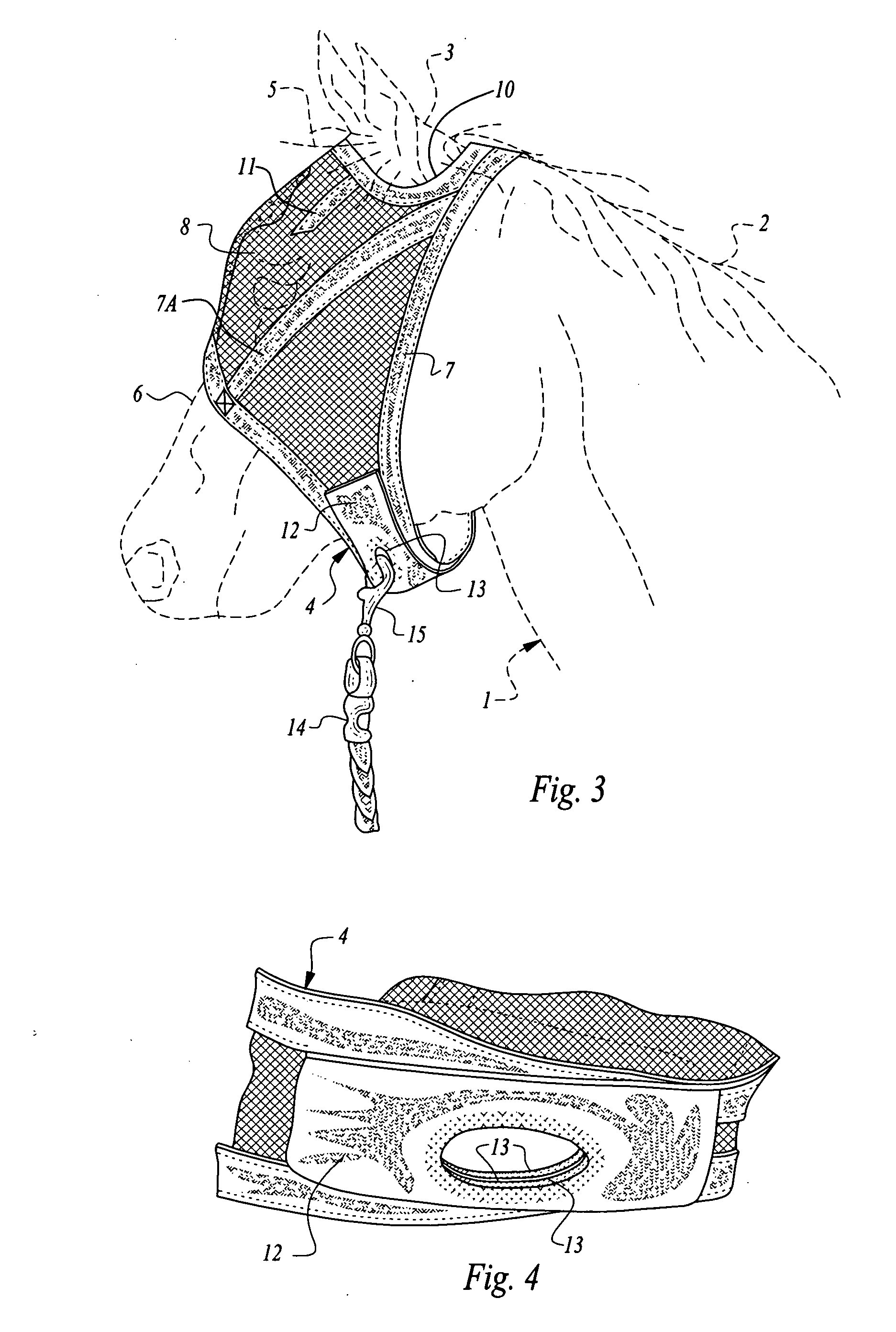 Protective mask and halter apparatus