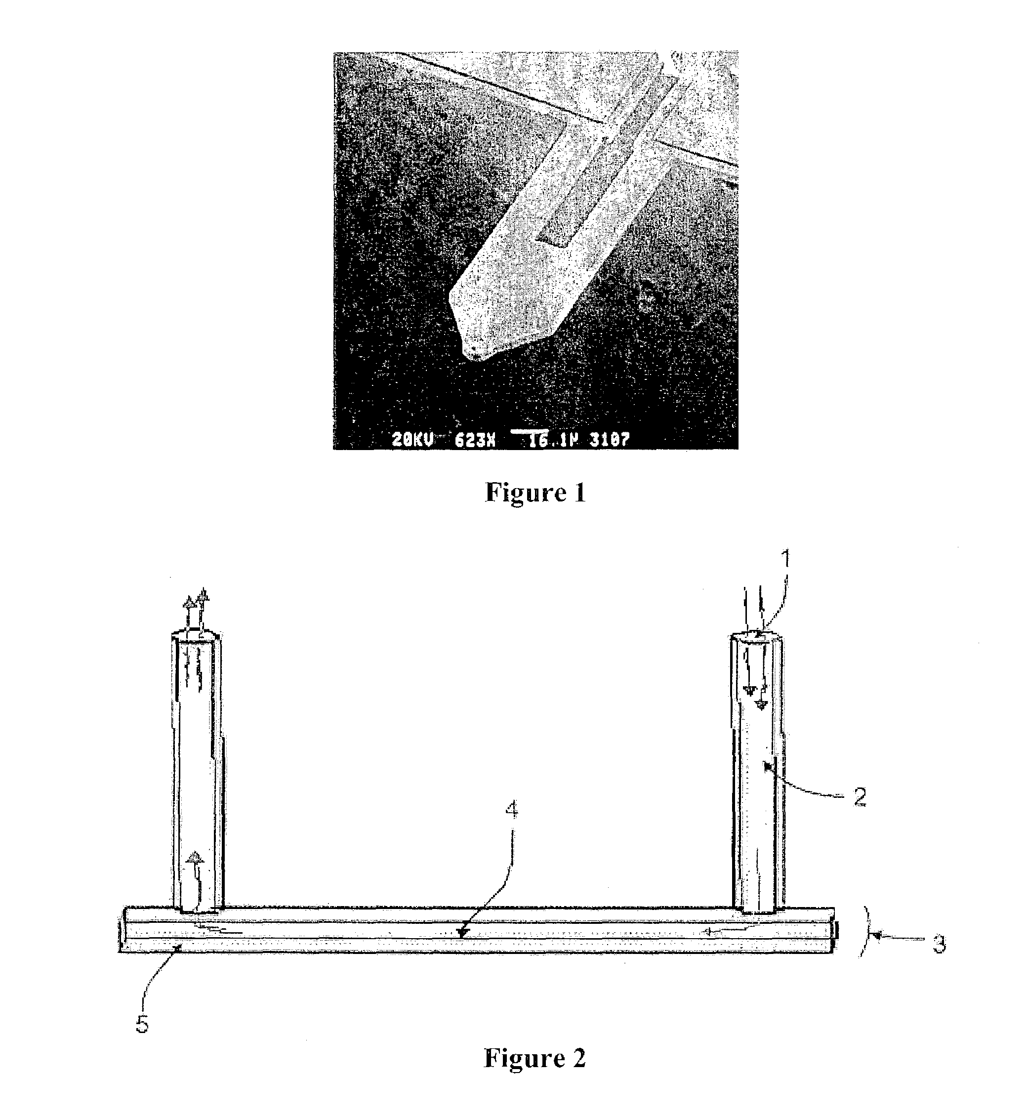 Microcantilevers for biological and chemical assays and methods of making and using thereof