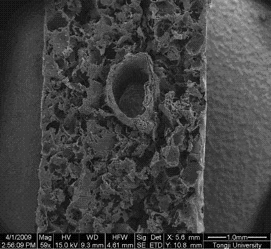 Method for preparing aqueous gel/nano hydroxyapatite composite scaffold for hard tissue repair