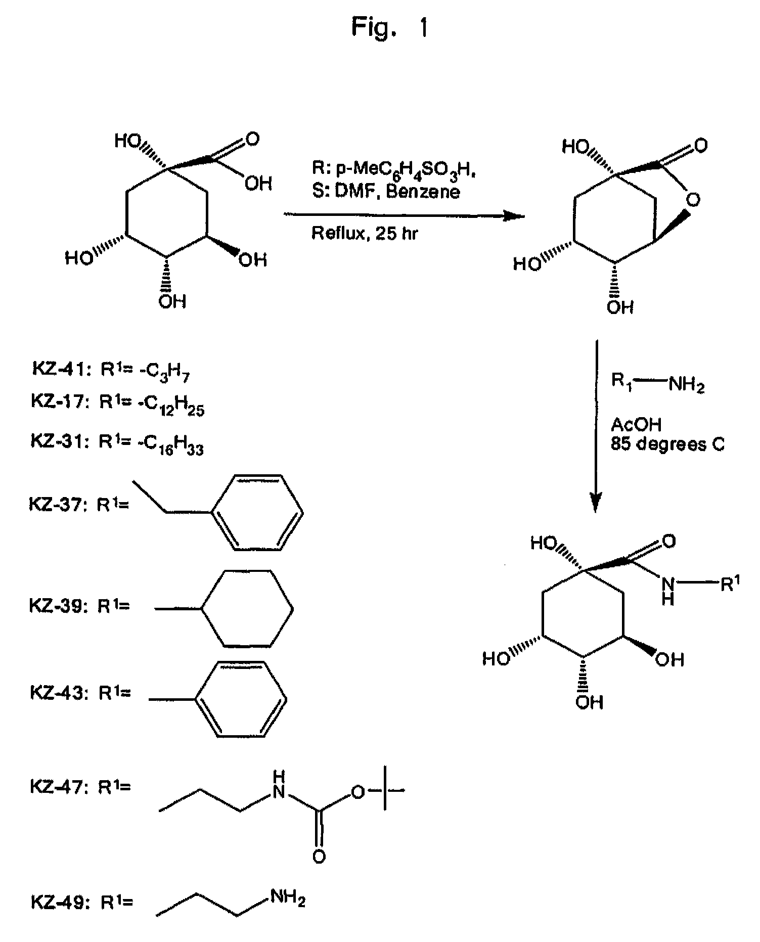 Anti-inflammatory quinic acid derivatives for radioprotection/radiomitigation