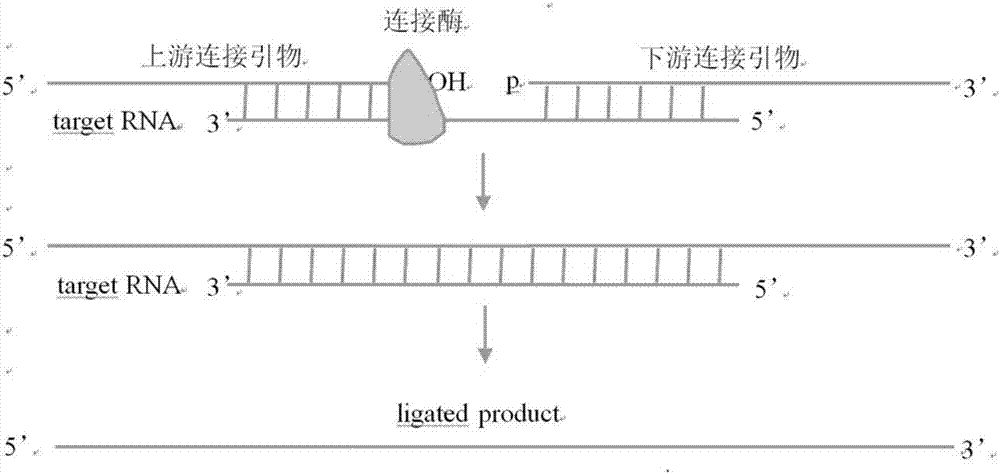 Method and kit for detecting influenza A virus series by ligase