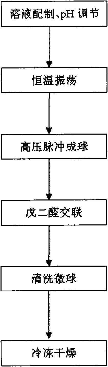 Preparation method of chitosan/sodium polyphosphate porous microcarrier