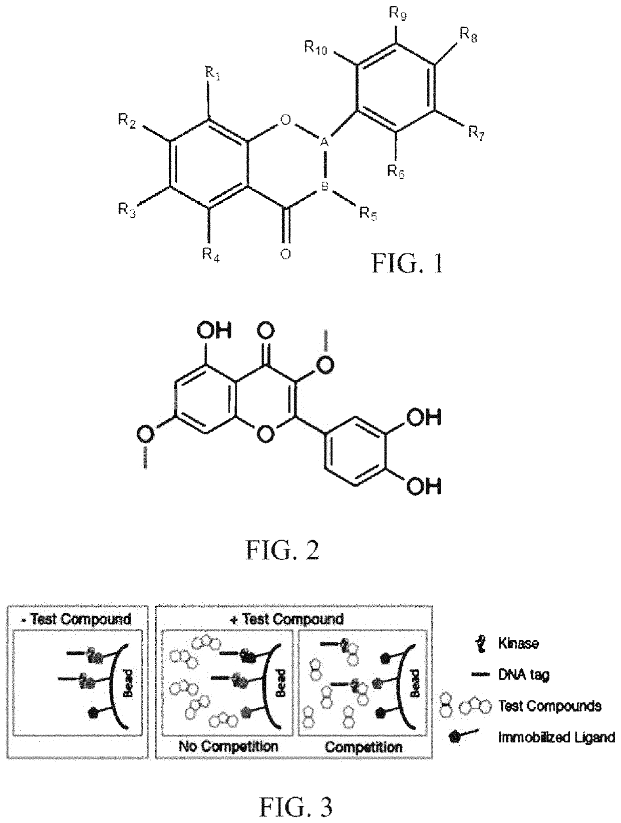 Therapeutic flavonoid based antiviral agents