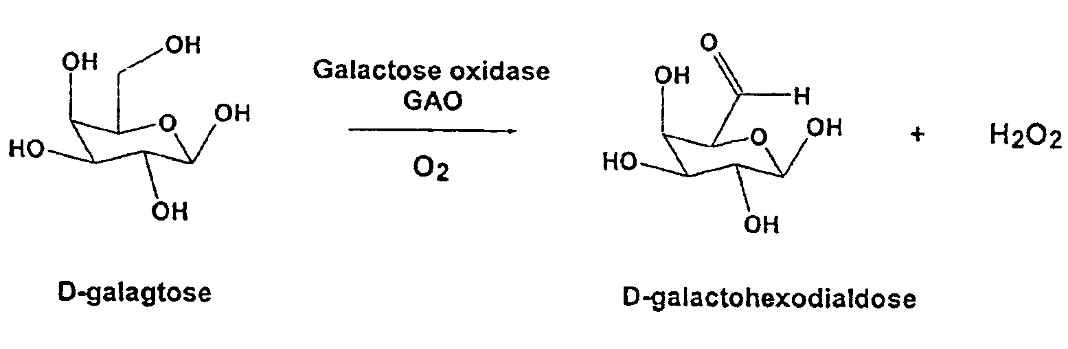Directed evolution of oxidase enzymes