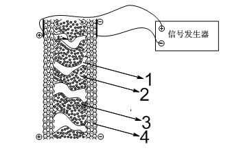 Graphene-ion exchange polymer electric actuator as well as manufacturing method and application thereof