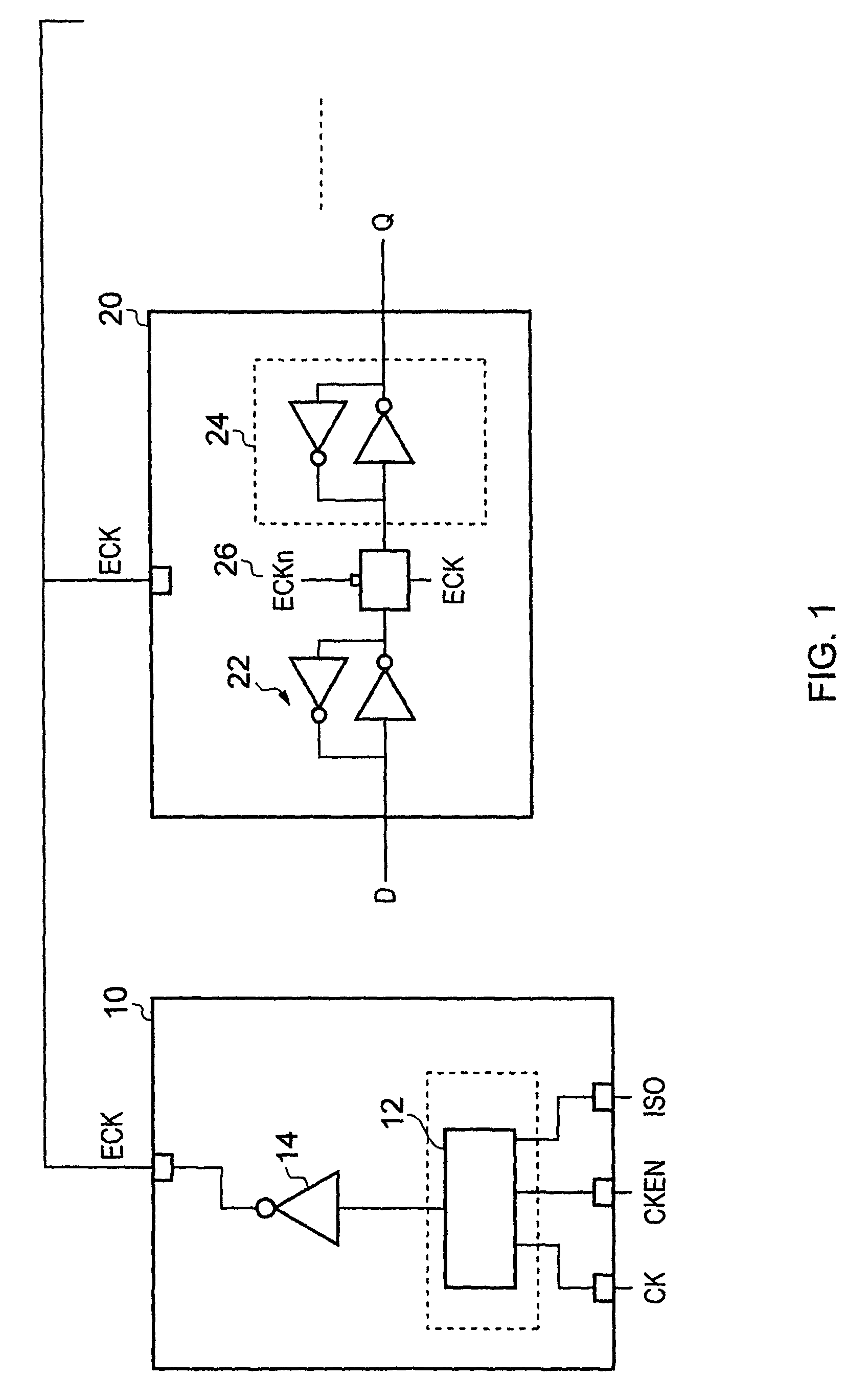 Supplying a clock signal and a gated clock signal to synchronous elements