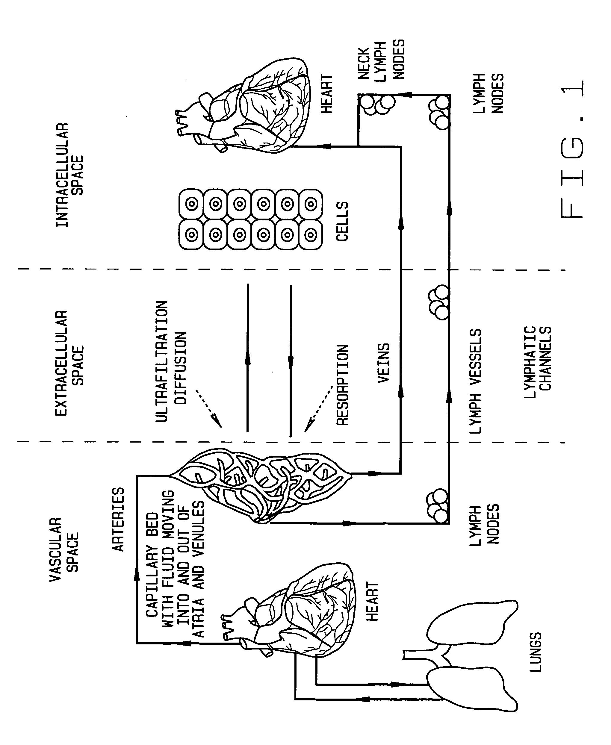 Segmented pneumatic pad for regulating pressure upon parts of the body during usage