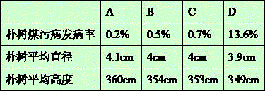 Bactericide for preventing and treating celtis sinensis sooty mould and preparation method of bactericide