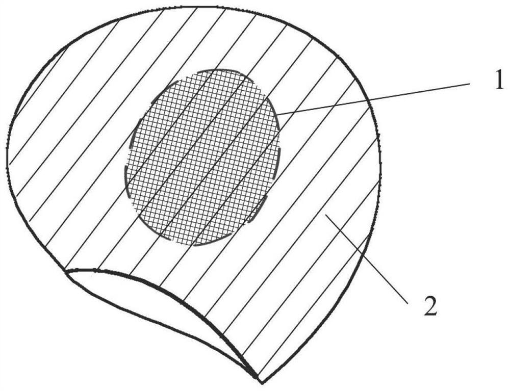 A kind of ship propeller blade with piezoelectric damping and preparation method