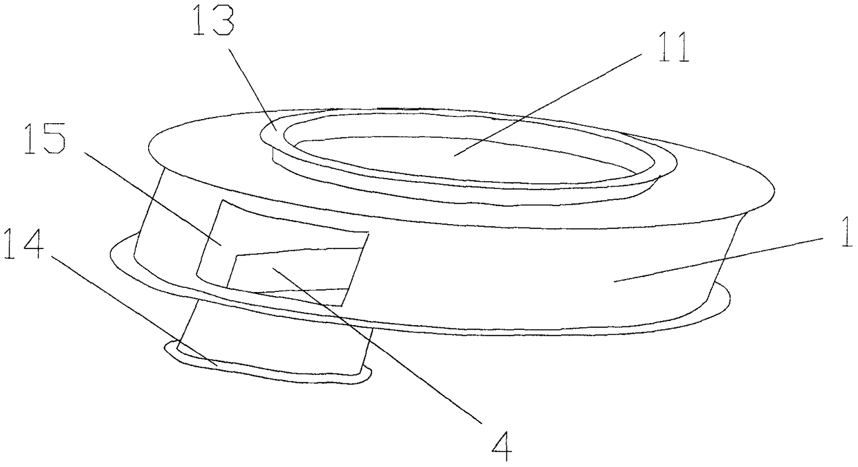 Powder steady flow discharging device