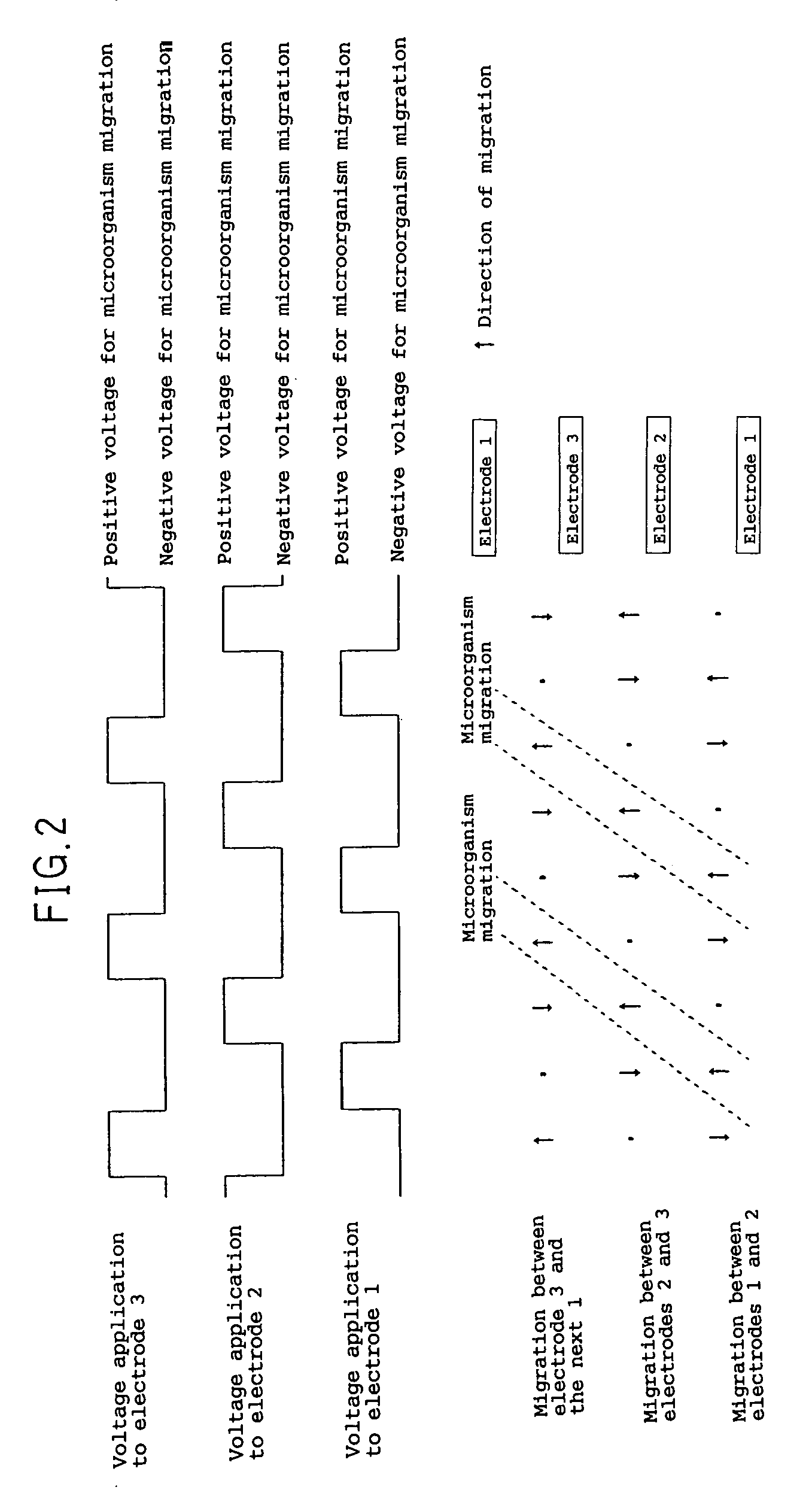 Electrochemical device for moving particles covered with protein