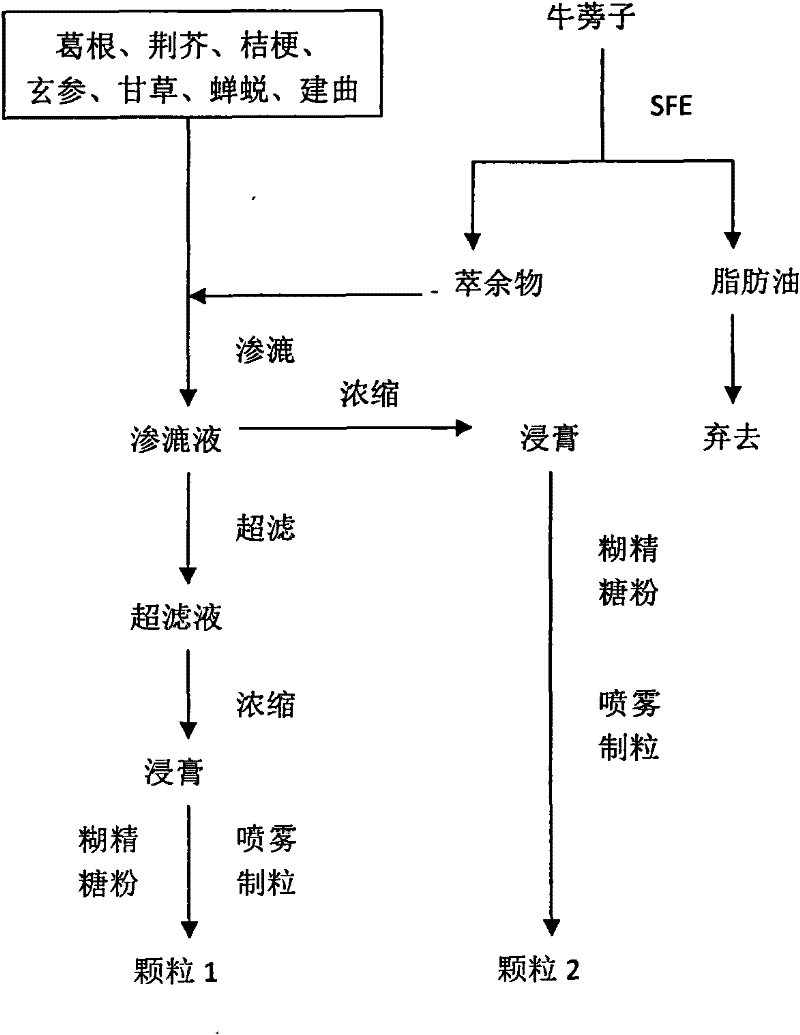 Preparation method of influenze granule for children