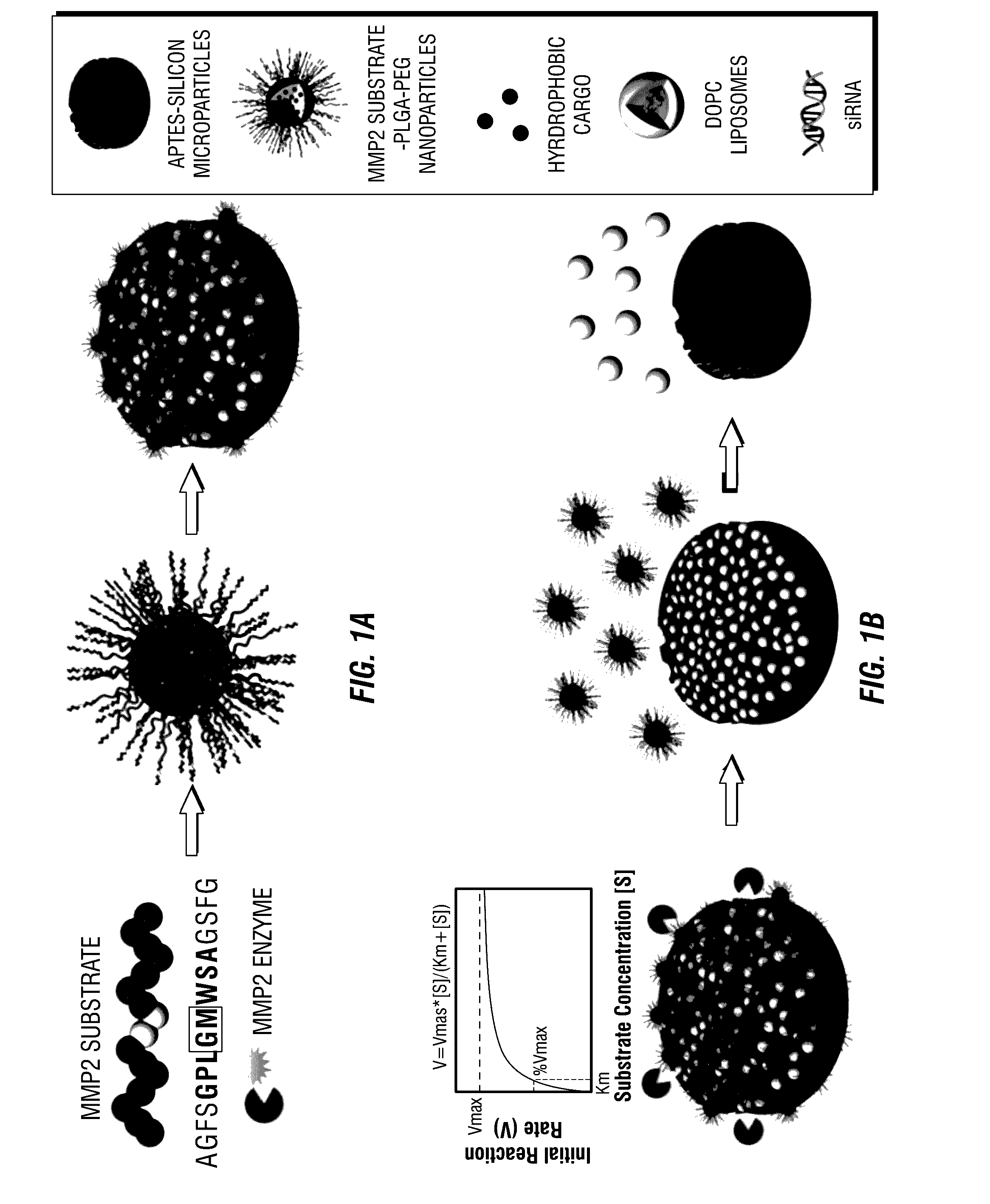 Micro/nano composite drug delivery formulations and uses thereof