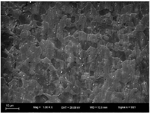 Multi-component small-amount high-strength plasticity magnesium alloy and large-rolling-reduction short-process preparation method thereof
