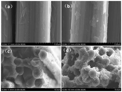 A preparation method of graphene oxide modified carbon fiber initiated by silane coupling agent-assisted electrophoretic deposition