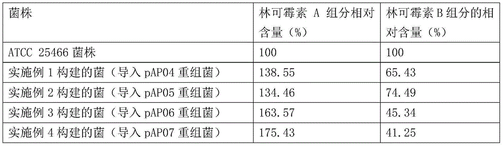 Recombinant bacterium for improving lincomycin component A and reducing lincomycin component B and application thereof