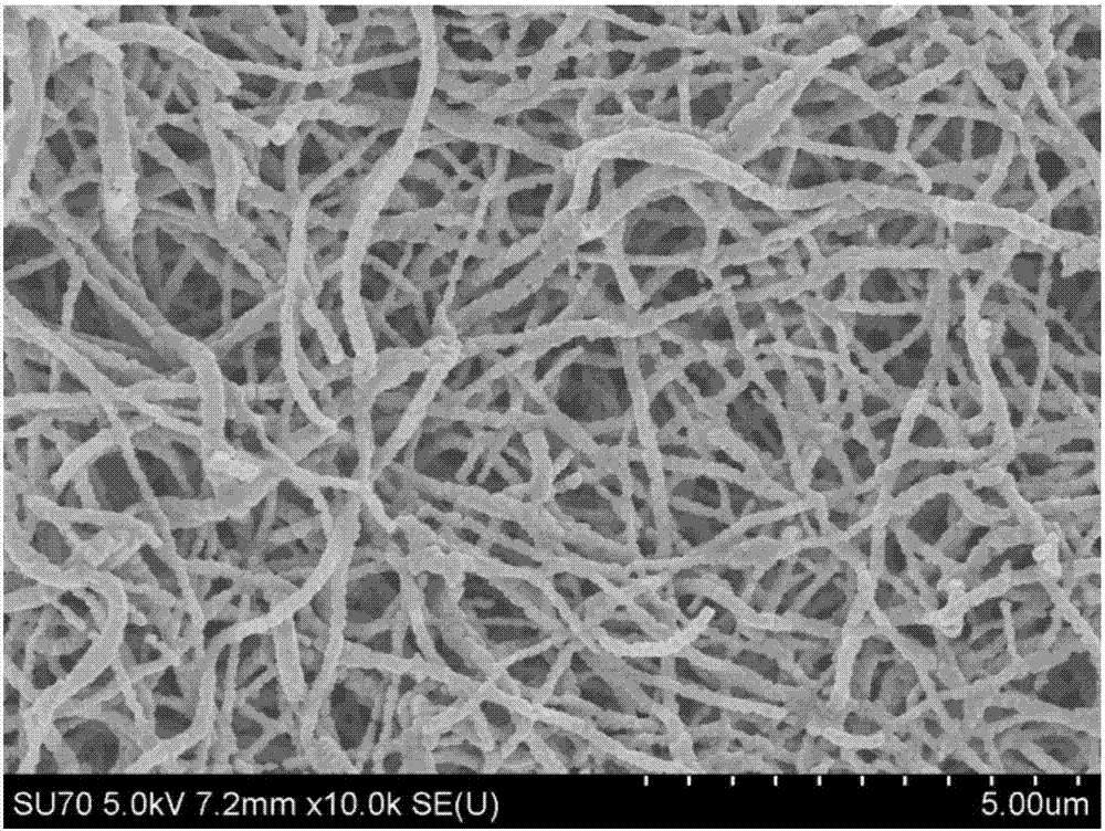 Carbon-coated Na2Li2Ti6O14 nanofiber and preparation method thereof