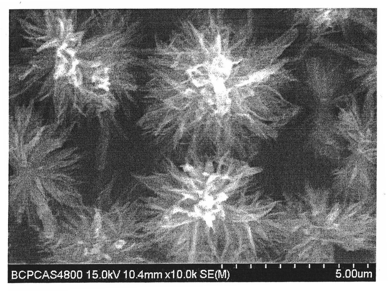 Mumm-shaped 3D TiO nanometer material and preparation method thereof
