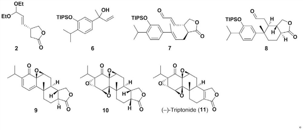 Method for asymmetrically synthesizing Triptonide and Triptolide