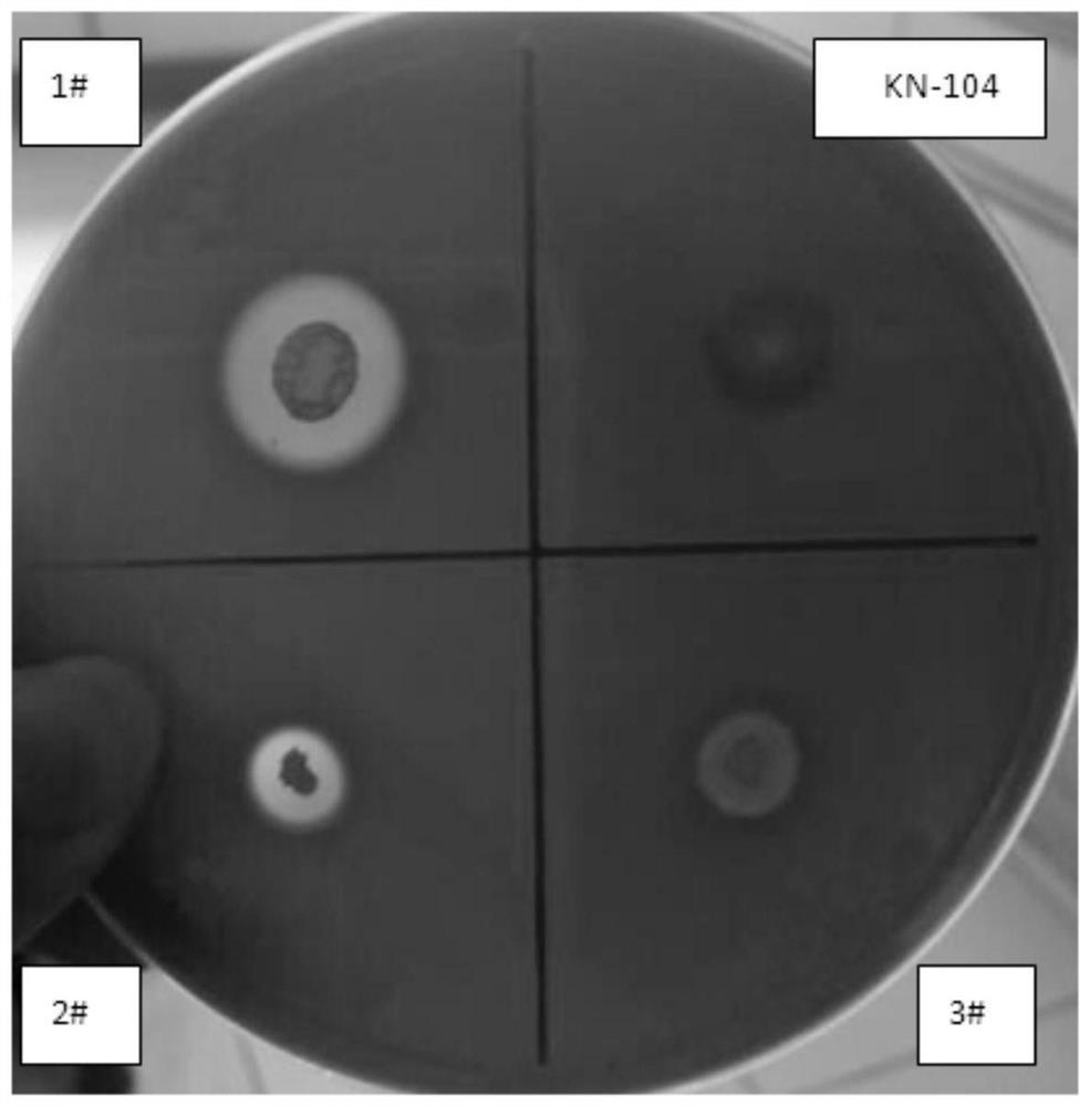 A kind of Bacillus subtilis and culture method thereof