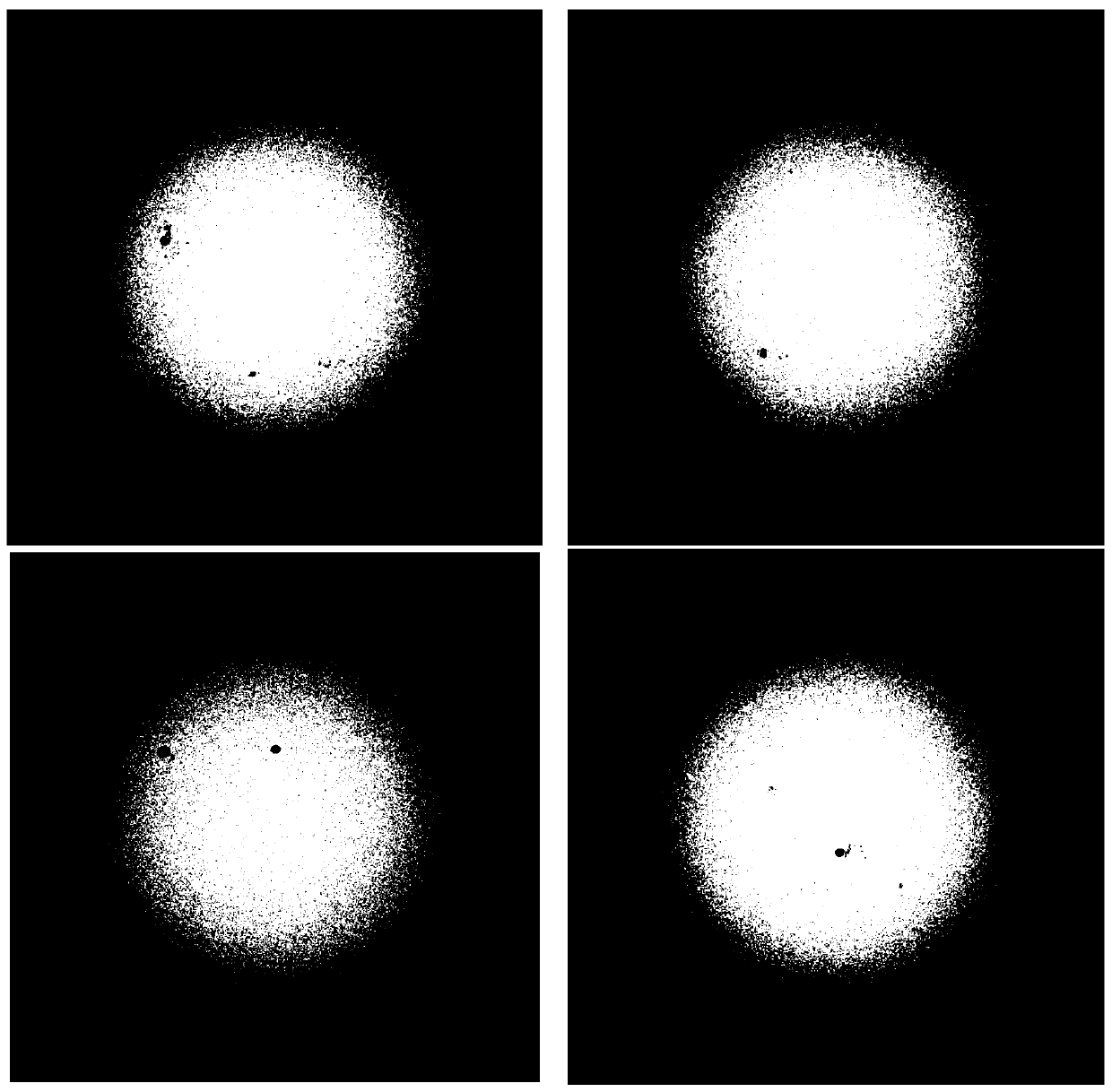 a solar image registration method based on normalized cross-correlation and SIFT