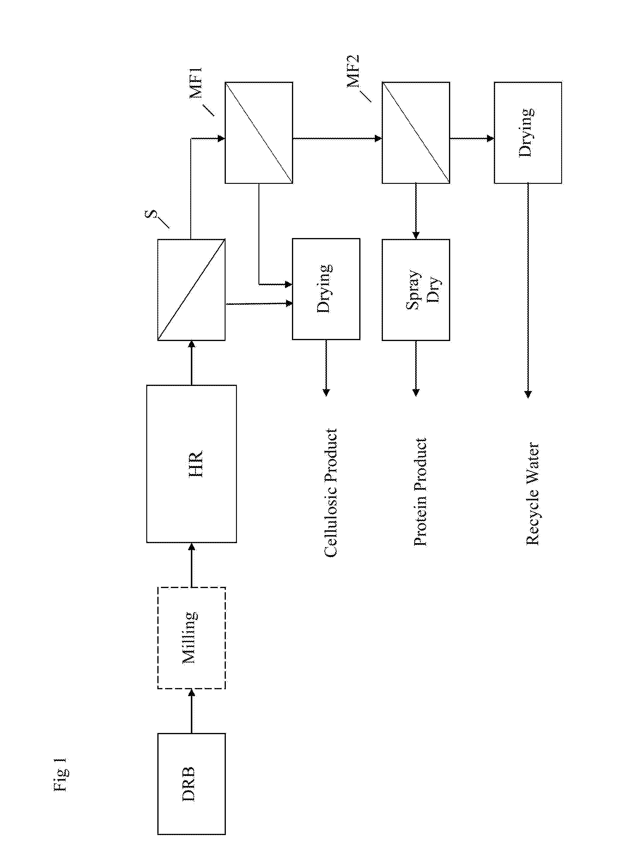 Process for Producing Protein Concentrate and A Cellulosic Residue Material From Defatted Rice Bran
