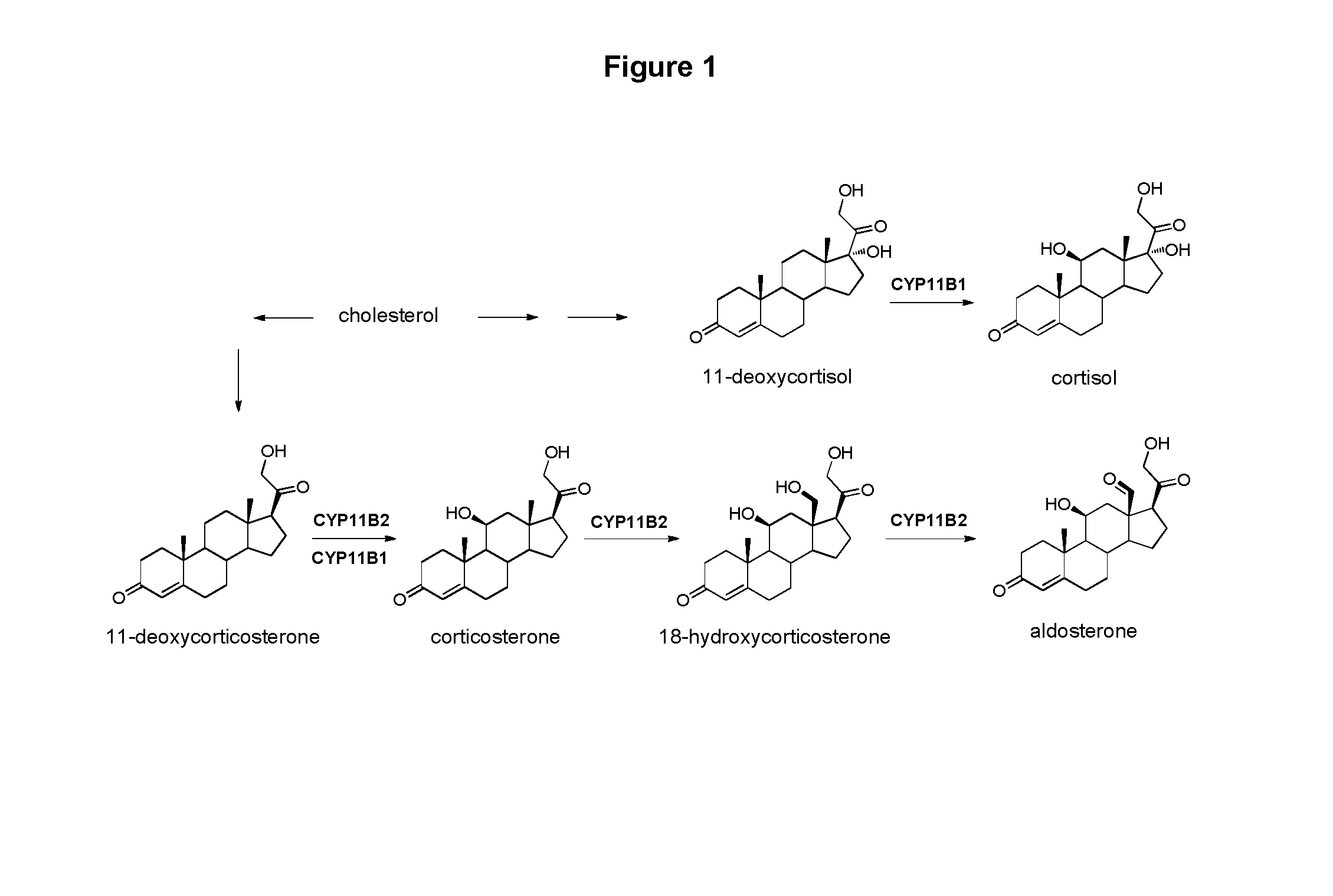 Selective cyp11b1 inhibitors for the treatment of cortisol dependent diseases