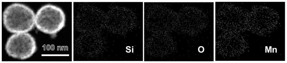 A kind of msnas-tpp multifunctional nanoparticle and its preparation method and application