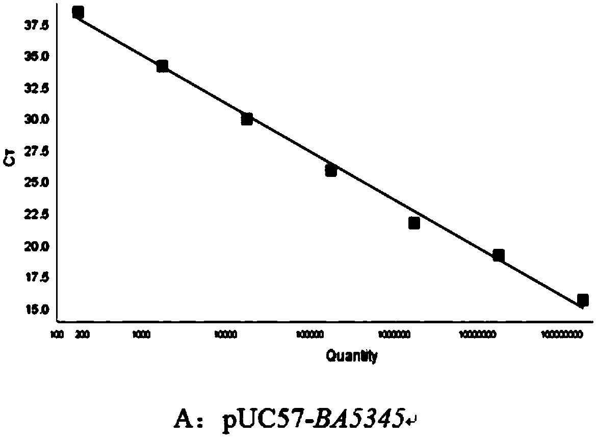 Bacillus anthracis duplex fluorescence quantitative PCR detection kit and detection method