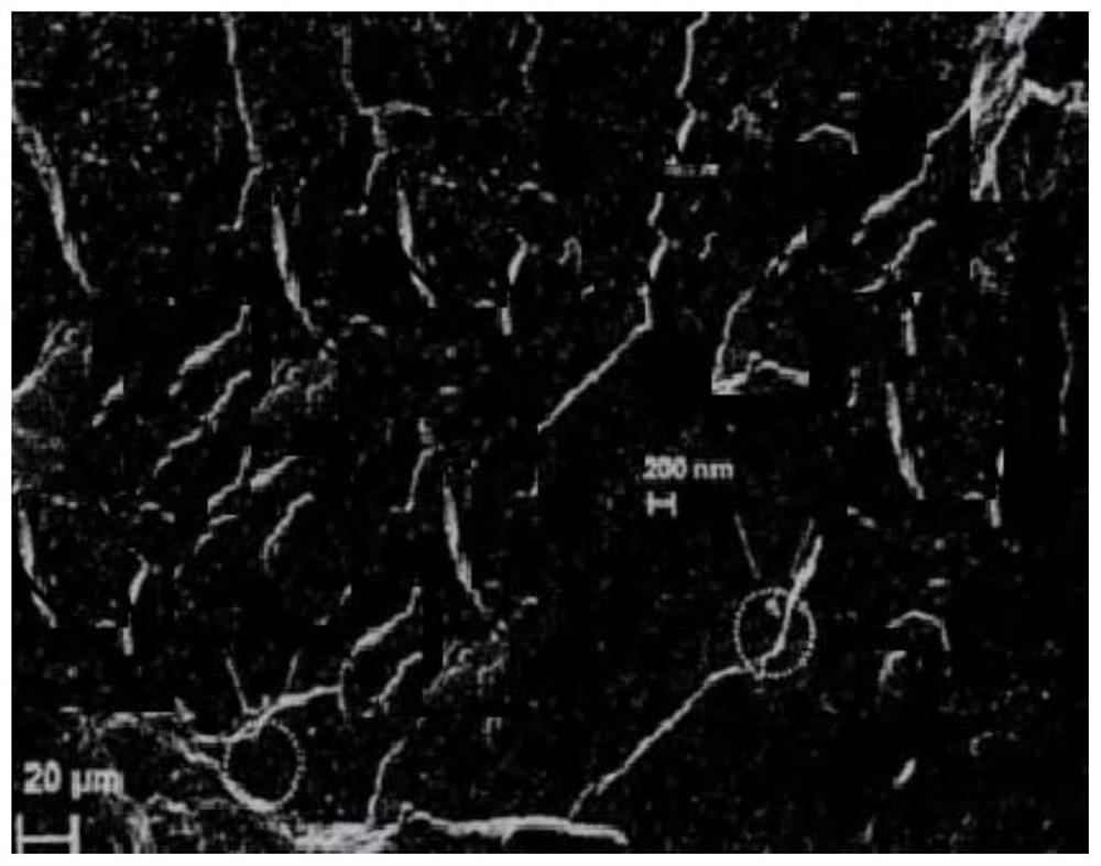 Preparation method of rubber composition containing highly dispersed carbon nanotubes