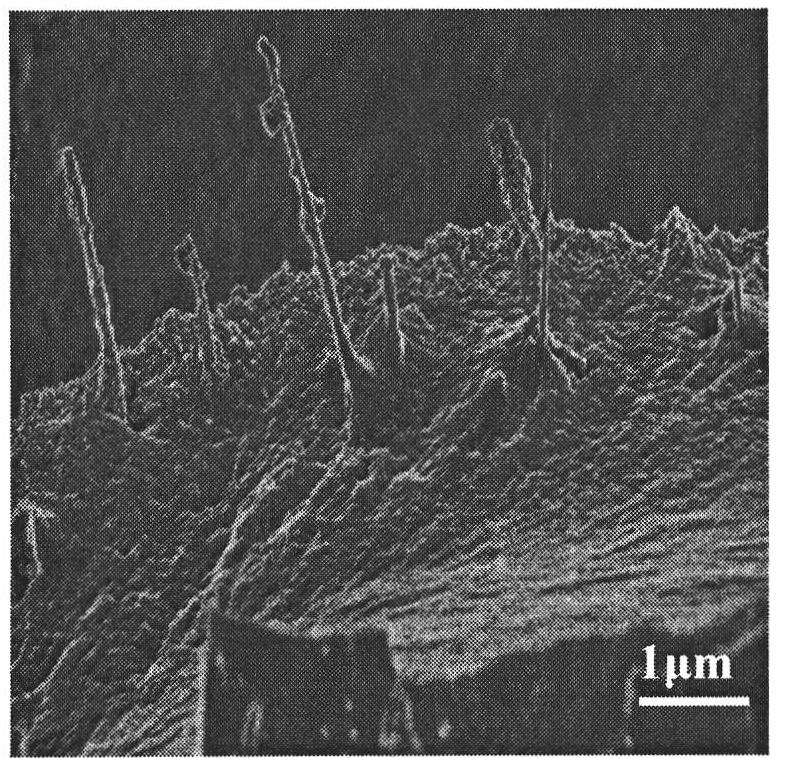 Ceramic and carbon nano-fiber composite material and preparation method thereof