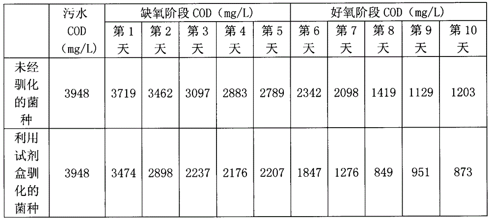 Domestication kit and domestication method of strain for coal coking wastewater COD (chemical oxygen demand) degradation