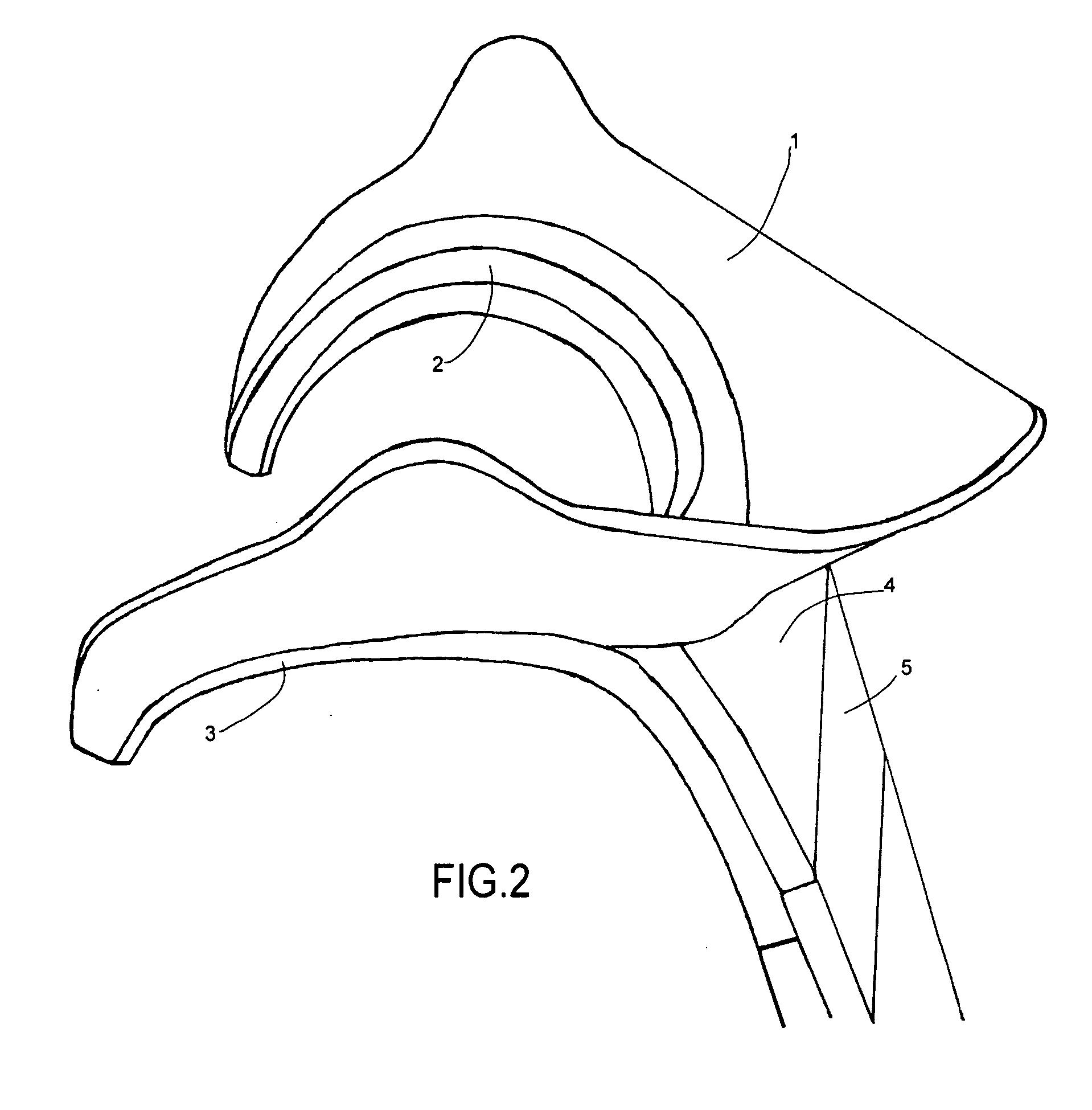 Wearable spinal protective apparatus