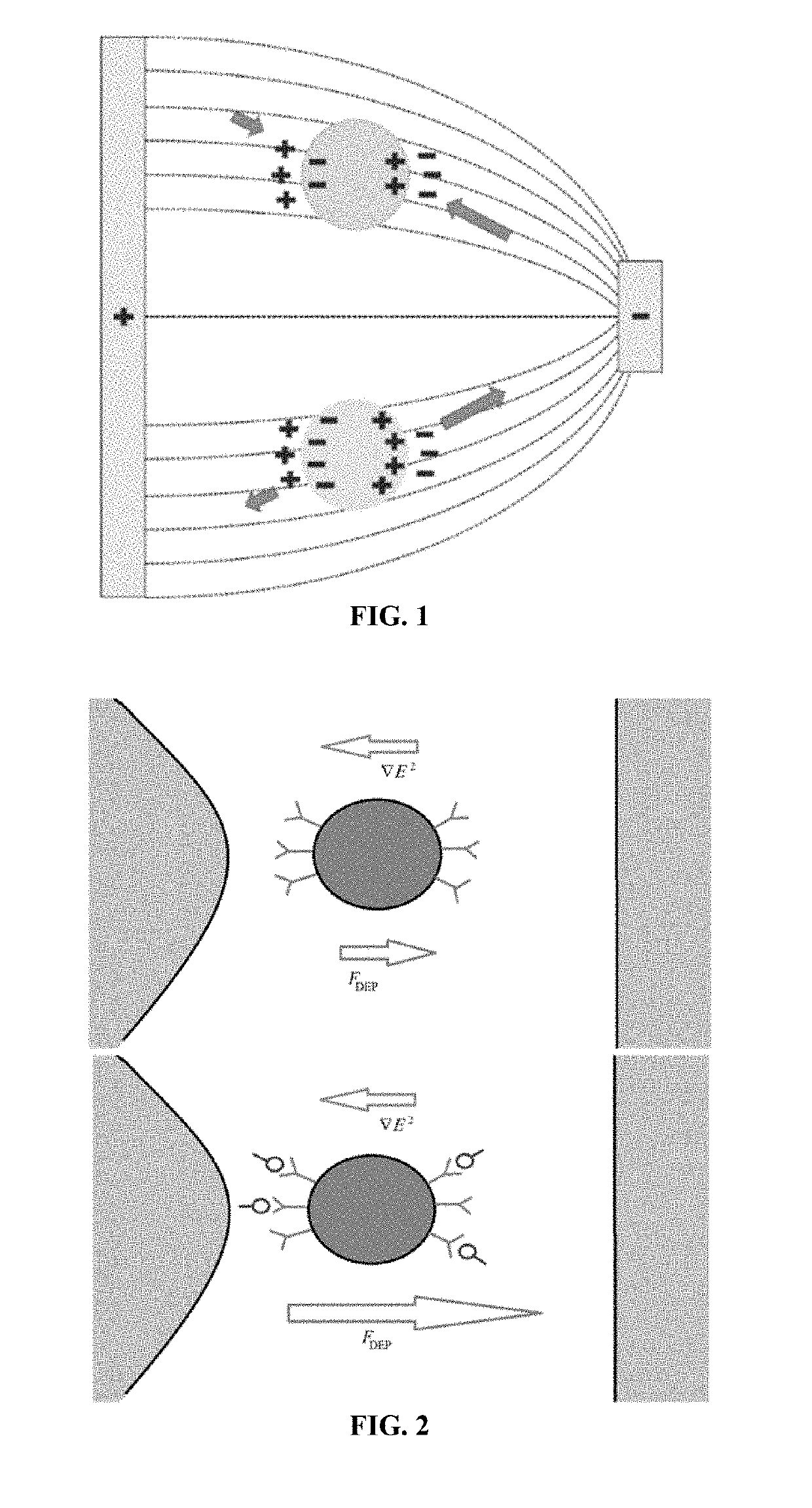 Method for detecting analytes using dielectrophoresis related applications