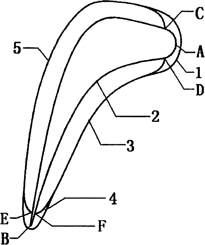 Blade tip alula of turbine or steam turbine moving-blade