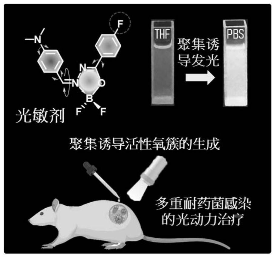 Organic boron photosensitizer based on aggregation-induced emission, and application thereof in treatment of multi-drug-resistant bacterium infection