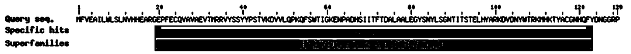 Application of phage Vp670 perforin gene holA