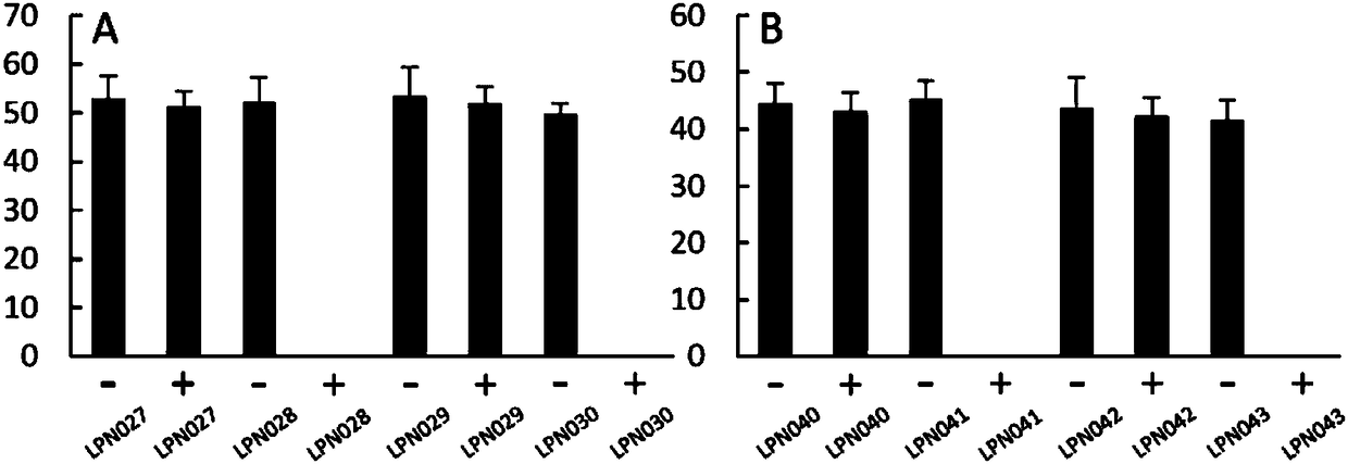 Application of phage Vp670 perforin gene holA