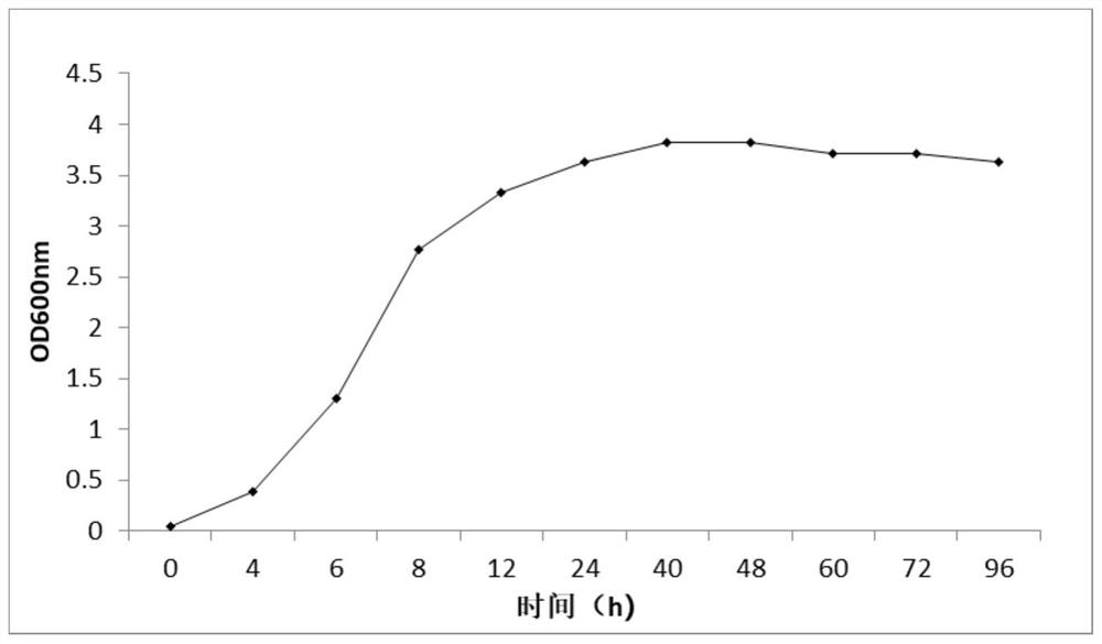 A strain am101 capable of degrading various β-lactam antibiotics and its application