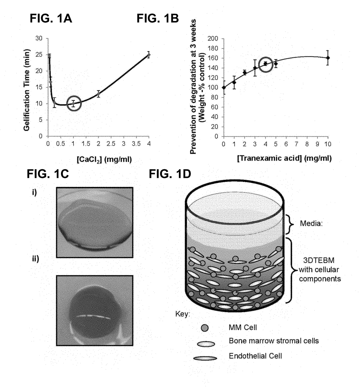 3D tissue-engineered bone marrow for personalized therapy and drug development