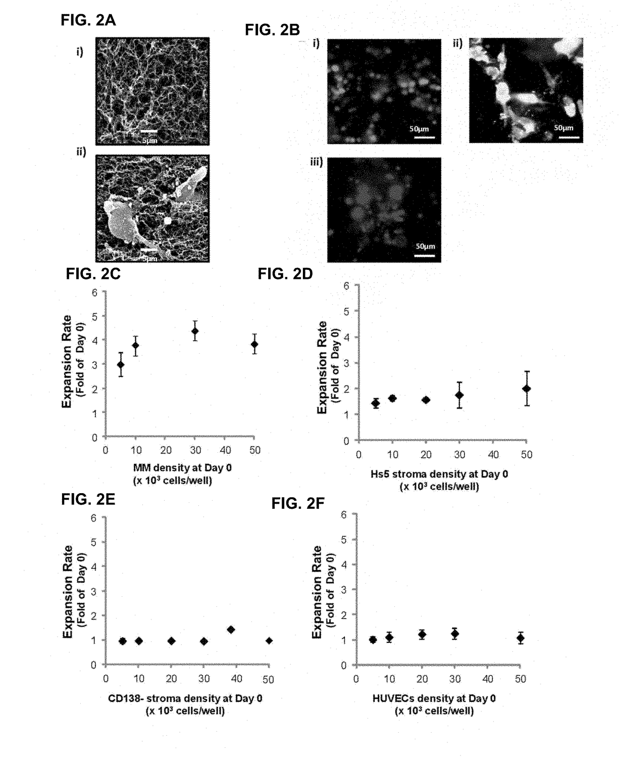 3D tissue-engineered bone marrow for personalized therapy and drug development