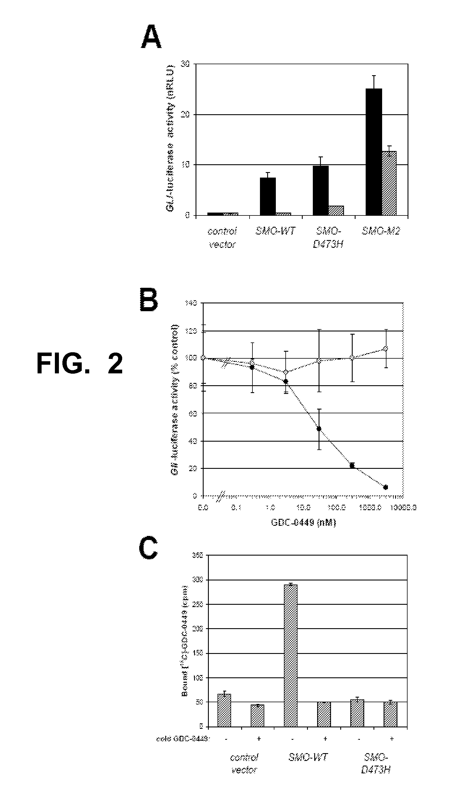 Mutant smoothened and methods of using the same